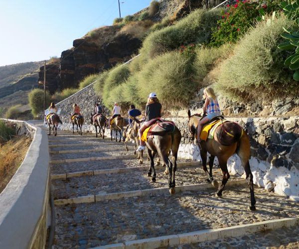 3_IMAGE Santorini Tours (Donkey rides)